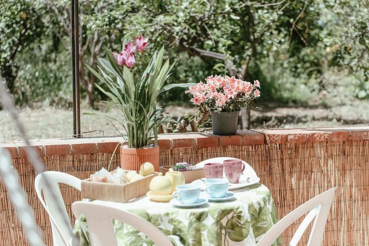 Апартаменты Nuccia'S Home Vacanze In Natura Ficarazzi Италия