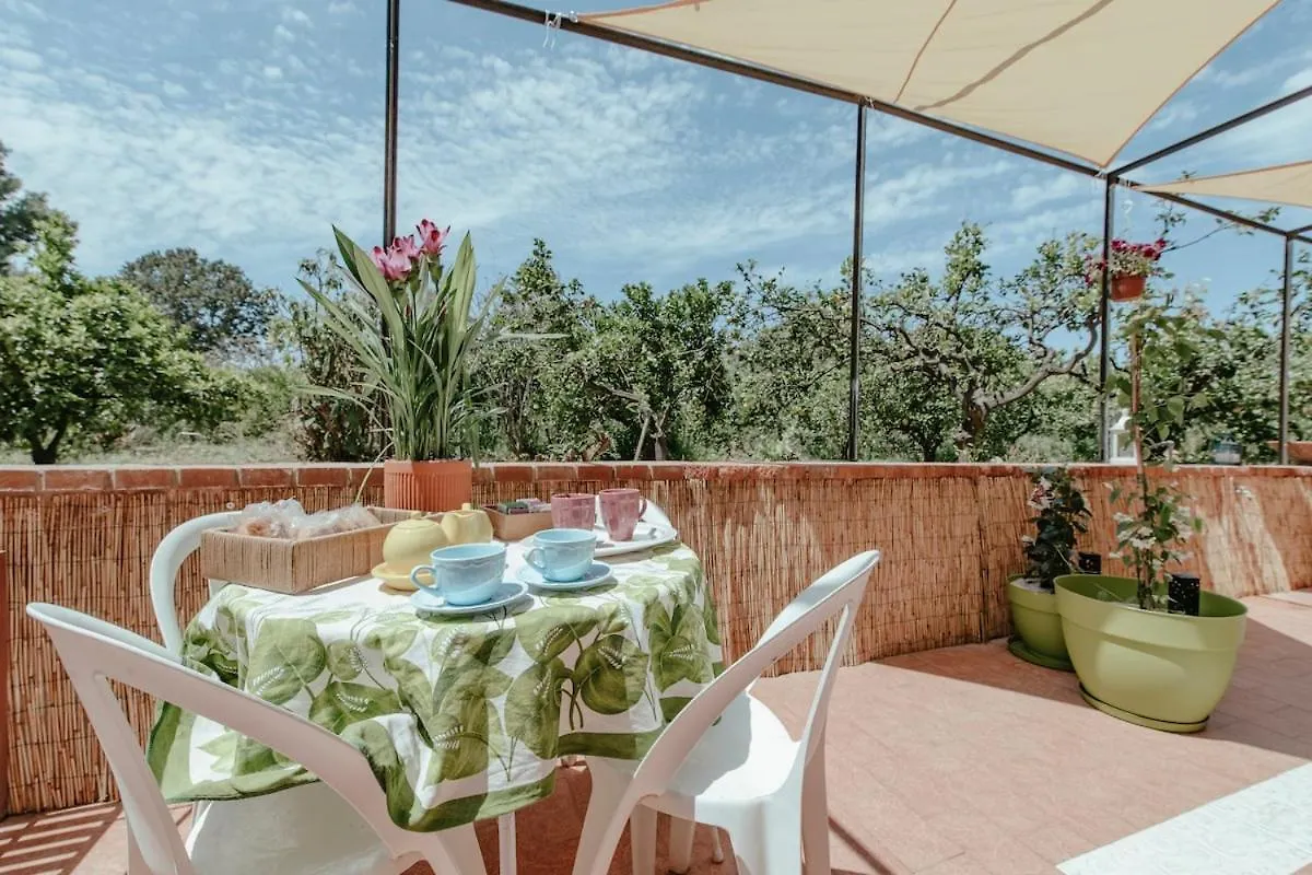 Nuccia'S Home Vacanze In Natura Ficarazzi Италия